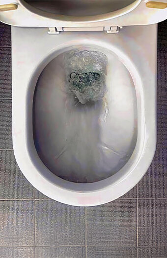 Blocked Toilet
